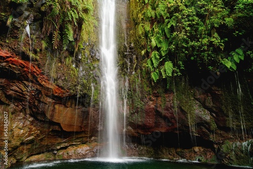 The Risco waterfall in Raba  al in Madeira during the spring. The springs of the Risco waterfall flowing down the rock overgrown with greenery. 25 Fontes  Madeira  Portugal. 
