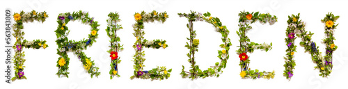 Blooming Flower Letters Building German Word Frieden Means Peace