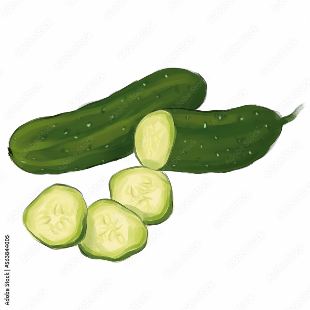 Hand drawn chopped green cucumber Hand drawn chopped green cucumber