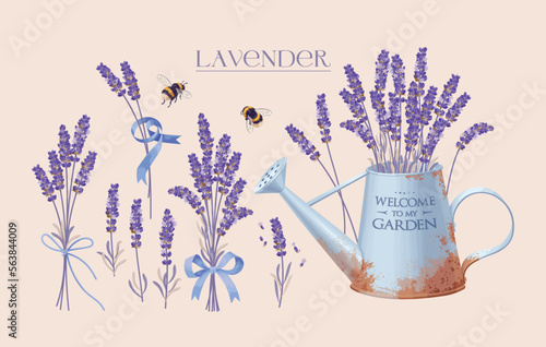 Set of high detailed lavender flowers elements