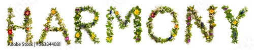 Fototapeta Naklejka Na Ścianę i Meble -  Blooming Flower Letters Building English Word Harmony