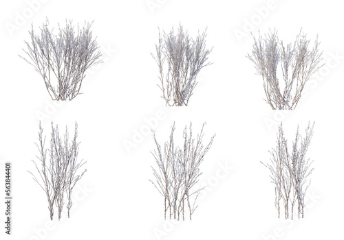 3D render forests and nature during winter