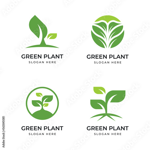 green plant logo set of vector