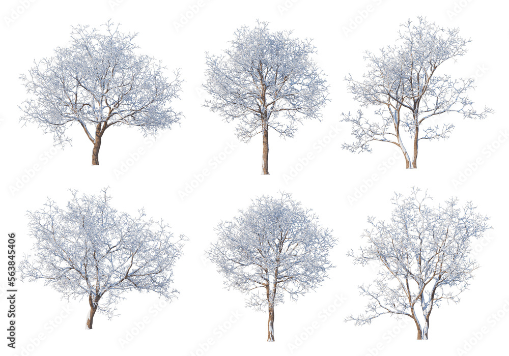 3D render forests and nature during winter 3D render forests and nature during winter