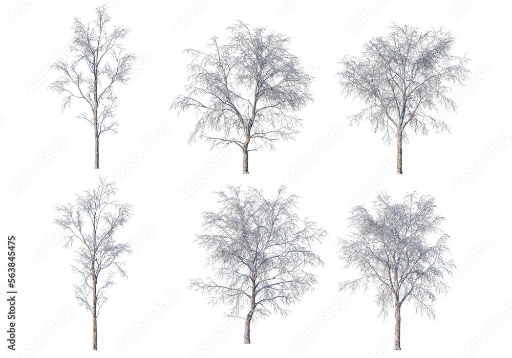 Obraz premium 3D render forests and nature during winter