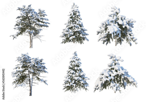 3D render forests and nature during winter