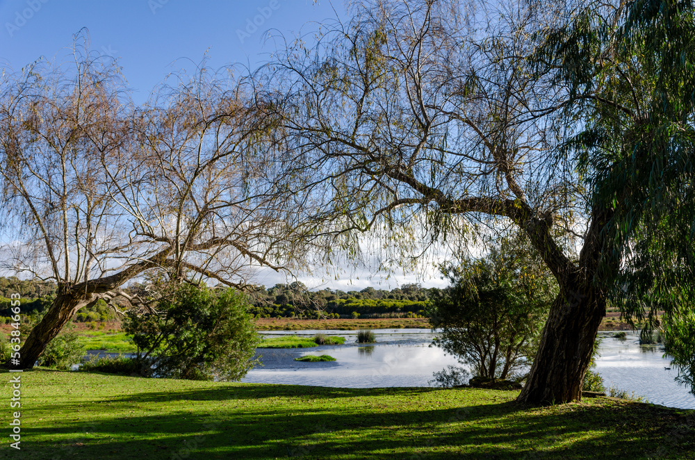 Yanchep National Park Western Australia