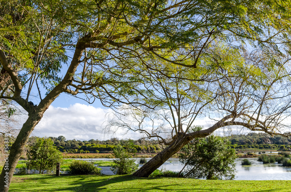 Yanchep National Park Perth Western Australia