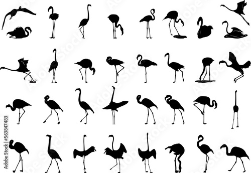 Vector flat flamingo silhouette isolated on white background