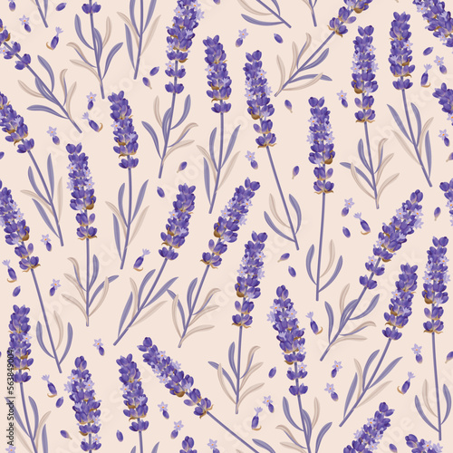 Vector seamless pattern with high detail lavender