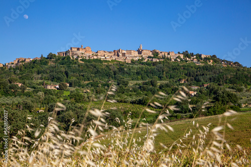 Italy, Tuscany, Montepulciano, View of hilltop town in summer