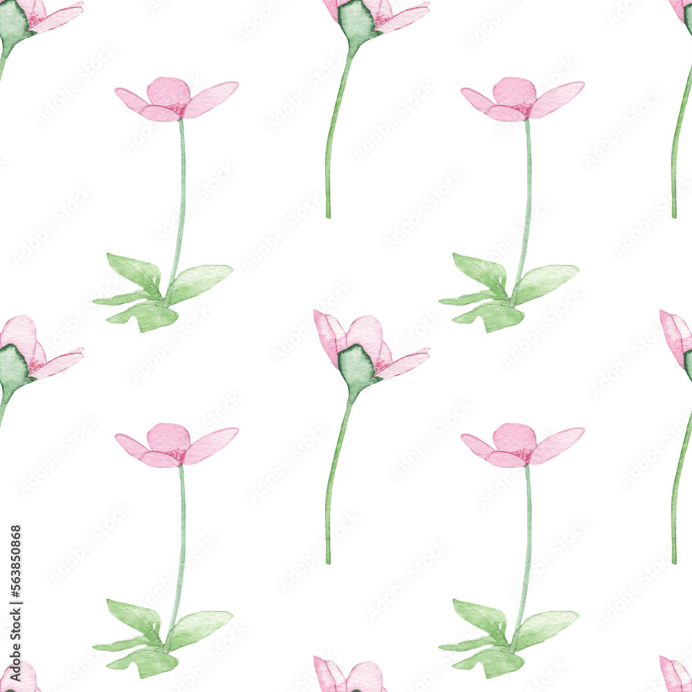 Rose wild flowers pattern.Watercolor hand drawn floral print isolated on white background.