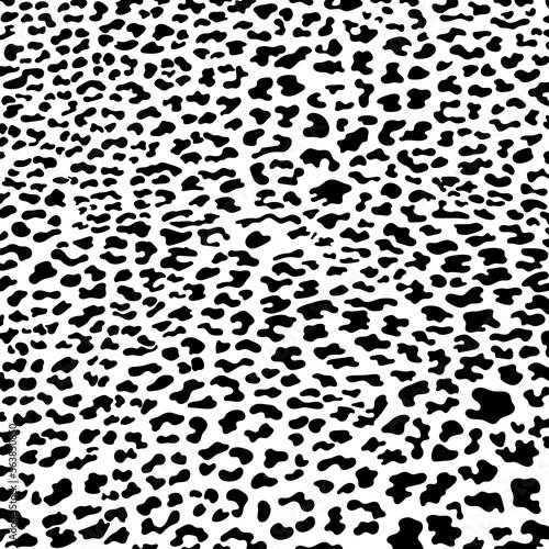 Vector black leopard, cheetah and jaguar print pattern animal seamless. Leopard, cheetah and jaguar skin abstract for printing or home decorate and more.