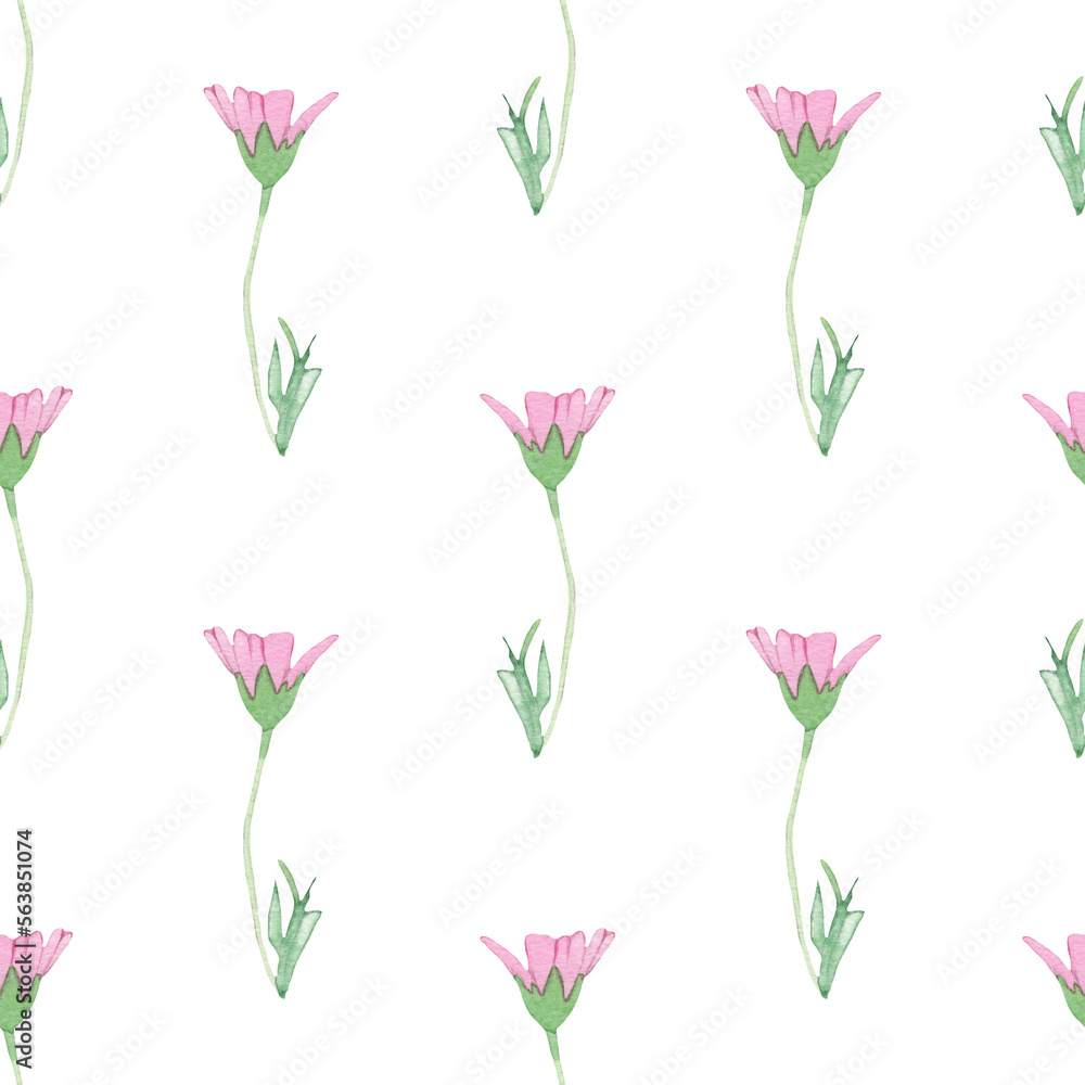 Fototapeta premium Rose wild flowers pattern.Watercolor hand drawn floral print isolated on white background.