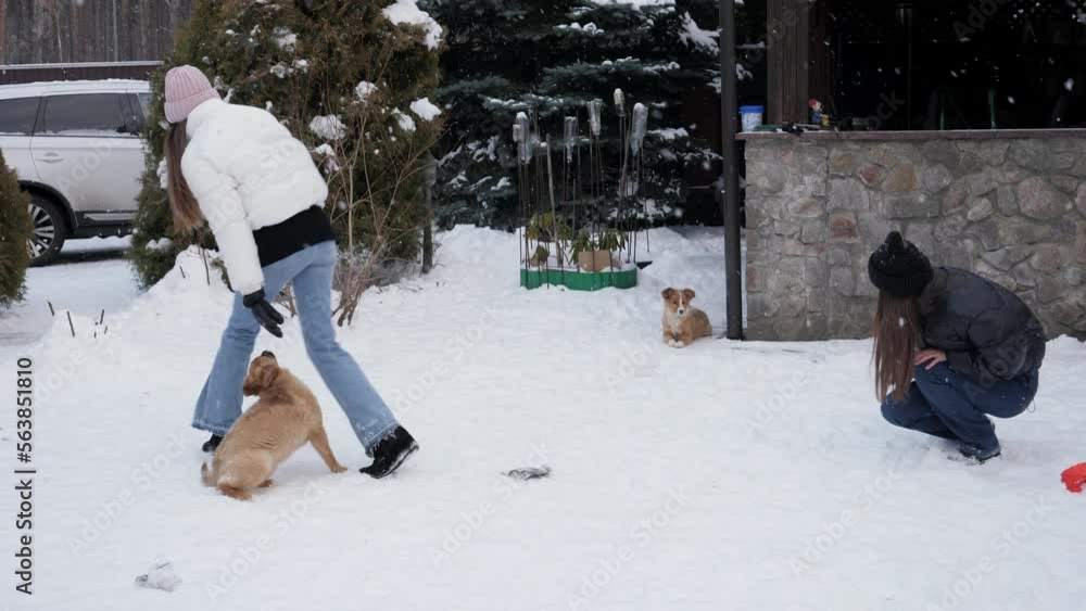 Two teenage girls playing with dogs in snow at backyard. Kids with animals, games with pets Two teenage girls playing with dogs in snow at backyard. Kids with animals, games with pets