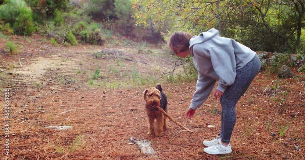 Woman playing with her dog during the walk in forest. Welsh terrier dog spending time together with the owner Woman playing with her dog during the walk in forest. Welsh terrier dog spending time together with the owner
