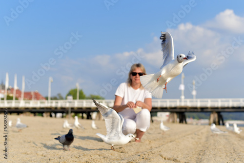 A young woman feeds seagulls
