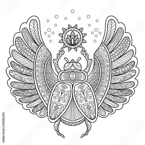 Scarab beetle adult antistress coloring page vector