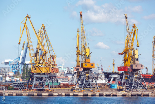 Heavy lifting harbor cranes in the cargo seaport.