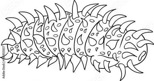 Sea cucumber. Hand drawn underwater creatures. Vector sea life, seafood. Coloring pages with marine animals photo