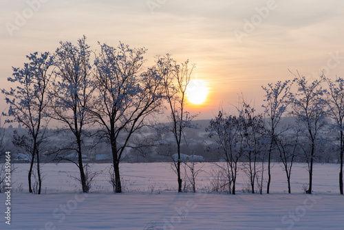 sunset in winter