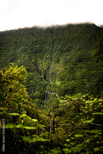 Jungle waterfall cascade in tropical rainforest. Takamaka valley on Reunion Island