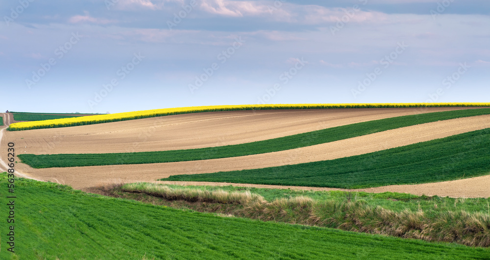 Fototapeta premium Agricultural land ready for spring