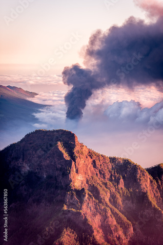 eruption of the volcano on the island of La Palma © David