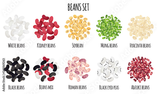Beans set with Black, White, Roman, Kidney, Mung, Adzuki, Hyacinth and Soybean.