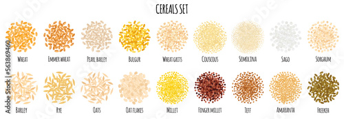 Cereals set with Wheat, Bulgur, Couscous, Semolina, Sago, Barley, Rye, Oats, Millet, Teff, Amaranth etc.