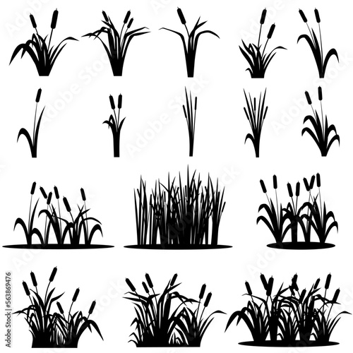 Cattail icon vector set. reeds illustration sign collection. swamp symbol. grass logo.