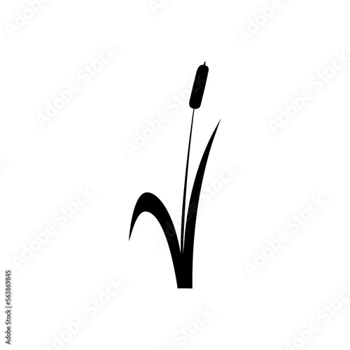 Cattail icon vector. reeds illustration sign. swamp symbol. grass logo.