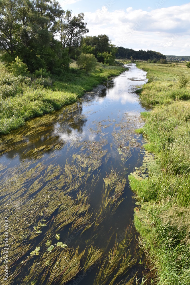 woda, rzeka Supraśl, krajobraz, drzewa, lato, zieleń, bory, potok, podlaskie, woda, rzeka Supraśl, krajobraz, drzewa, lato, zieleń, bory, potok, podlaskie,