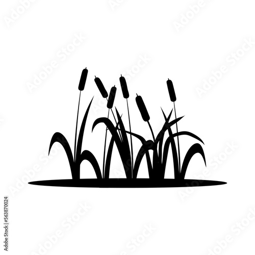 Cattail icon vector. reeds illustration sign. swamp symbol. grass logo.