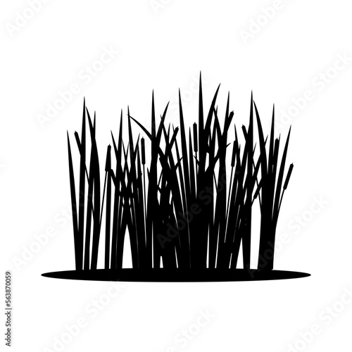 Cattail icon vector. reeds illustration sign. swamp symbol. grass logo.