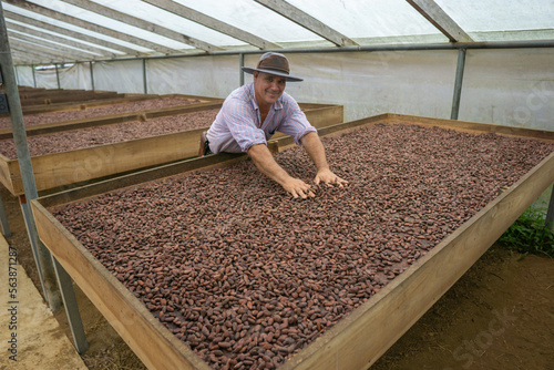 cocoa plantation worker