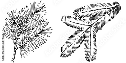 Wildflower fir-needle tree pattern in a one line style. Outline of the plant: Black and white engraved ink art needle. Sketch wild flower for background, texture, wrapper pattern, frame or border.