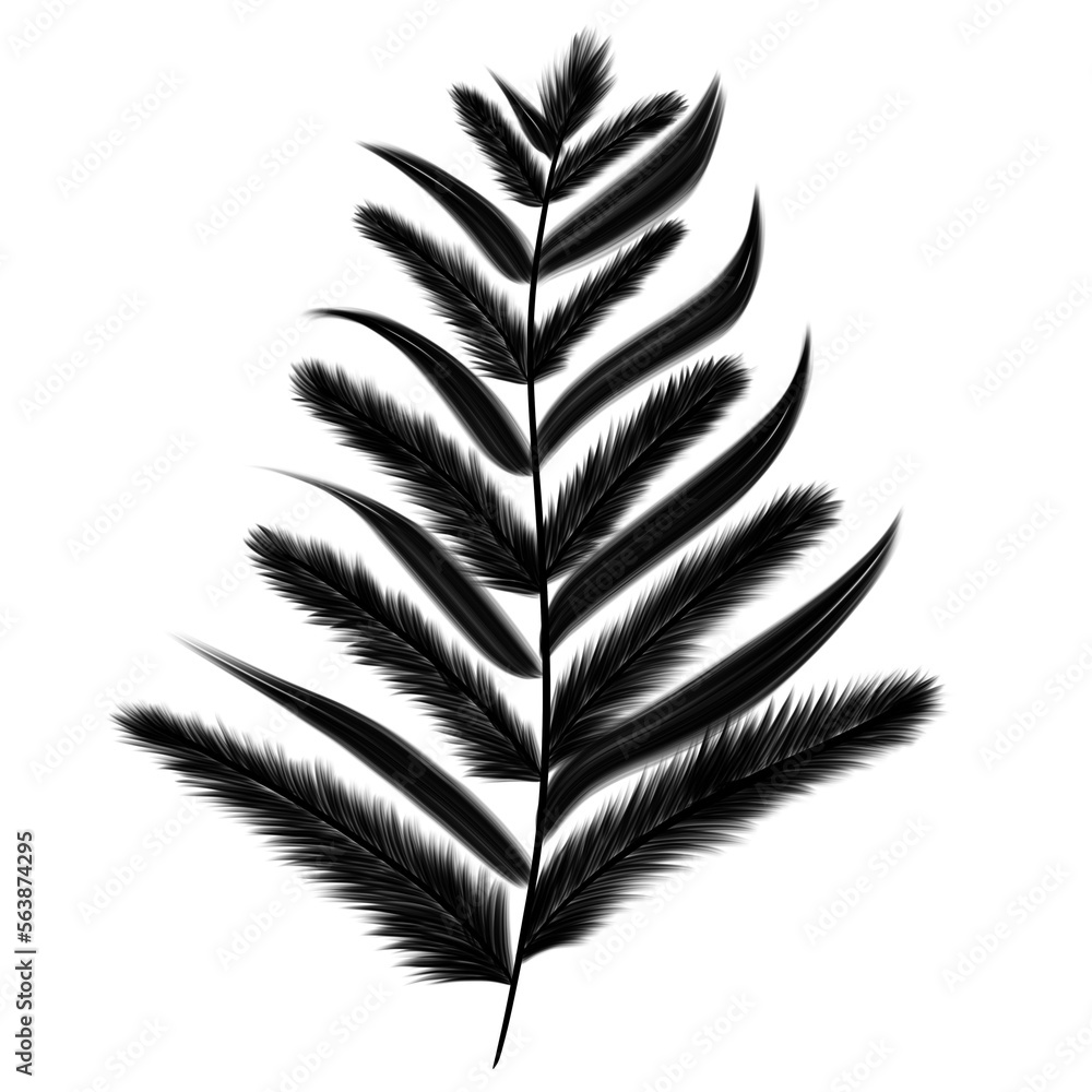 Tropical wildflower. Flower black silhouette isolated. Tropical wildflower. Flower black silhouette isolated.
