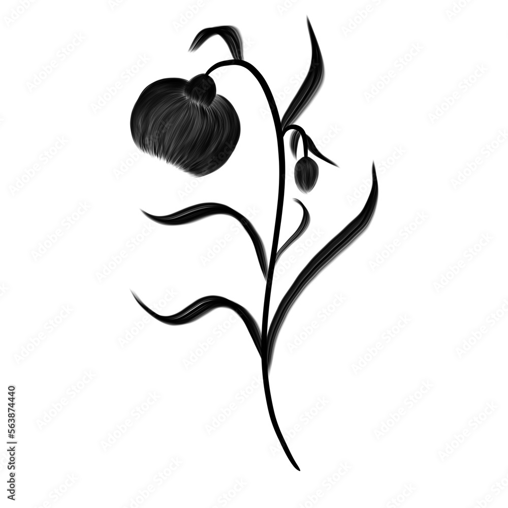 Tropical wildflower. Flower black silhouette isolated.