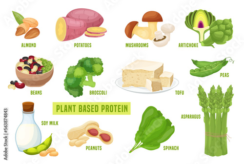 Vegan sources of protein. Editable vector illustration