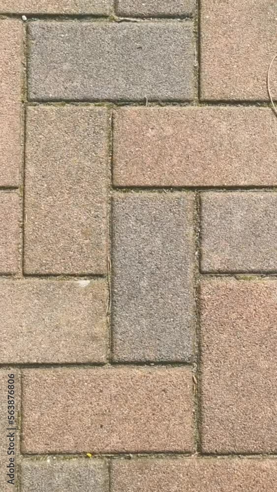 brick floor brick floor