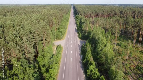 Symmetrical scene. Highway traffic among the green forest. High quality FullHD footage