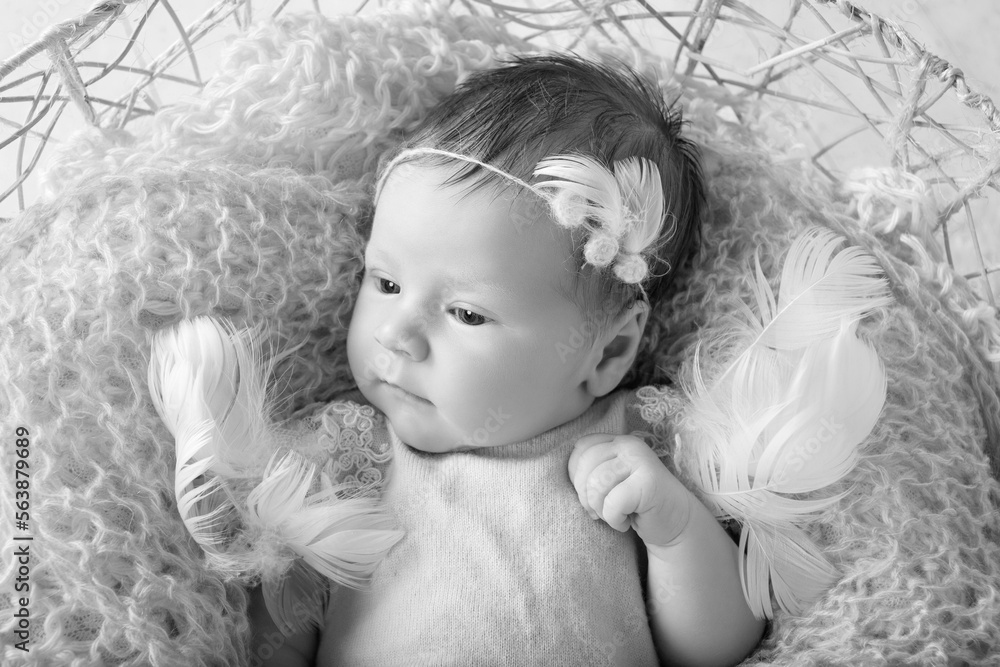 Sweet newborn baby girl with open eyes. Newborn girl 3 weeks old lying in a basket with knitted plaid. Portrait of pretty  newborn girl. Closeup image