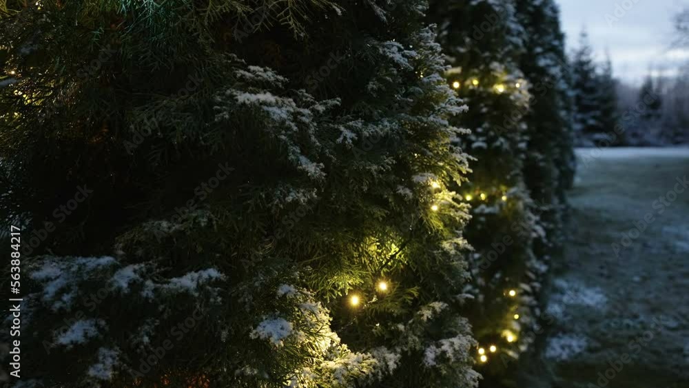 The snow and the series lights around the tree outside the house in Estonia The snow and the series lights around the tree outside the house in Estonia