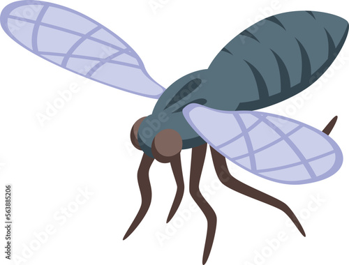 Pest insect icon isometric vector.Mosquito bug. Fly bug photo