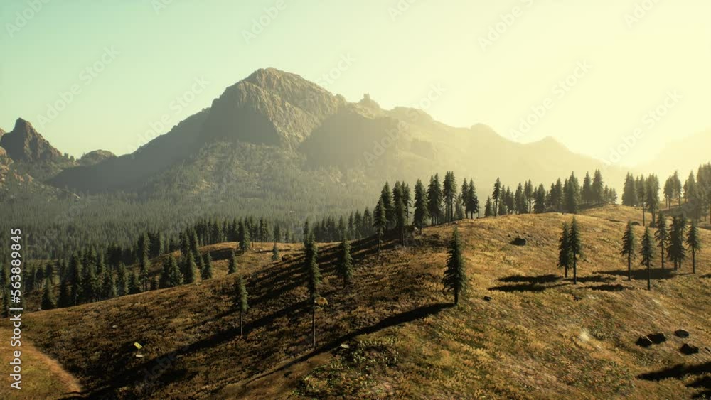 Beautiful mountain view with pine forest Beautiful mountain view with pine forest