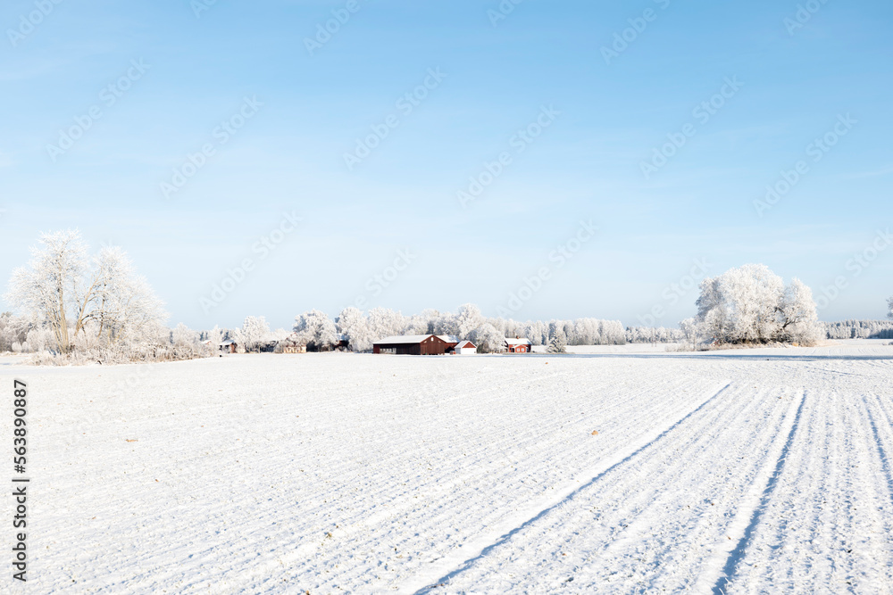 Wintry farm landscape in a frosty morning Wintry farm landscape in a frosty morning