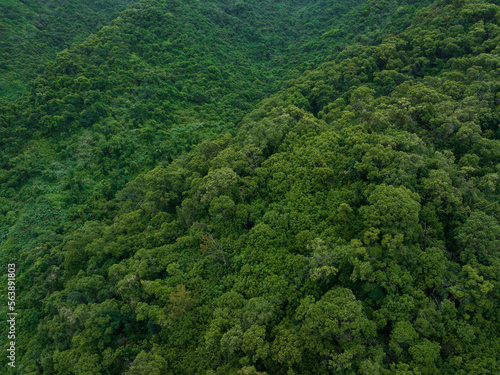 Aerial view of beautiful tropical forest mountain landscape