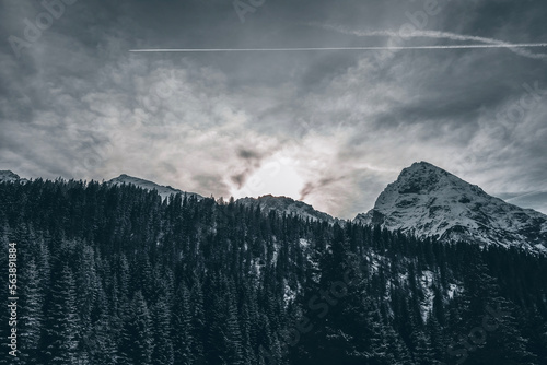 Foto Sunset over the mountains and the pine forest