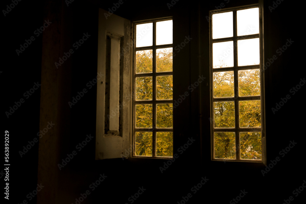 Green Trees through old wooden window Green Trees through old wooden window